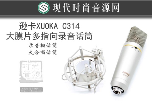 逊卡XUOKA C314专业大膜片多指向录音话筒 录音棚/大合唱/舞台演出麦克风
