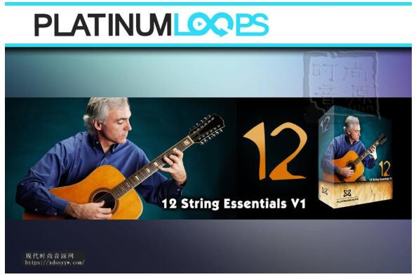 12 String Essentials V1