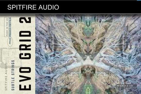 Spitfire Audio PP020 Evo Grid 2 KONTAKT喷火进化弦乐