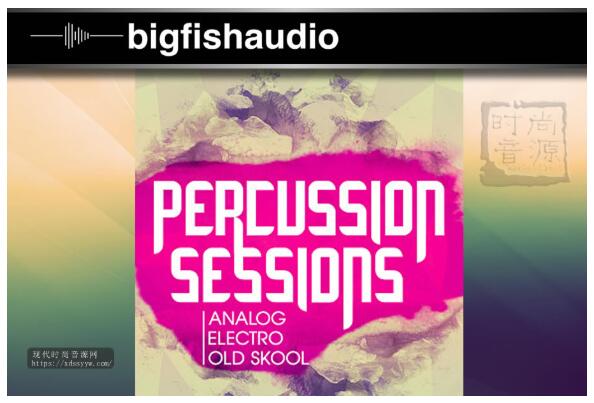 Big Fish Audio Dieguis Productions Percussion Sessions KONTAKT