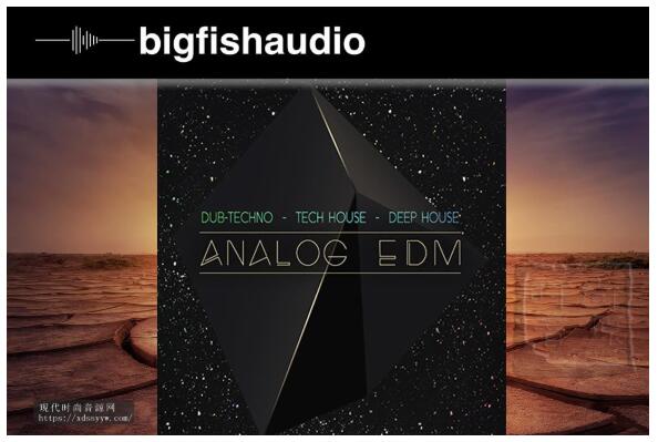 Big Fish Audio Analog EDM MULTiFORMAT-流行EDM鼓多格式音源