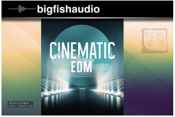 Big Fish Cinematic EDM Kontakt