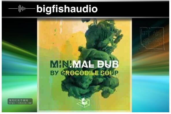 Big Fish Audio & ViP Loops Lion Reggae Productions KONTAKT雷鬼风格素材