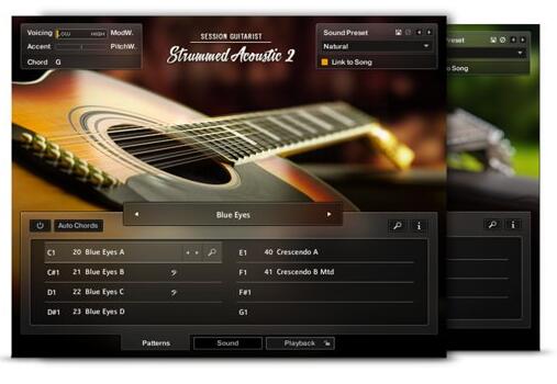 图片[2]-Native Instruments Session Guitarist Strummed Acoustic 2 KONTAKT经典原声吉他 | 音色插件资源网-音色插件资源网