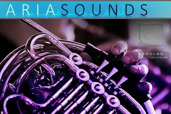 Aria Sounds LSB Solo French Horn KONTAKT 圆号独奏