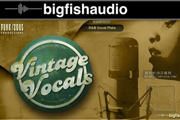 Big Fish Audio Vintage Vocals KONTAKT经典人声