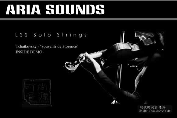 Aria Sounds LSS Solo Strings – Solo Violin KONTAKT（2.73Gb）独奏小提琴音源