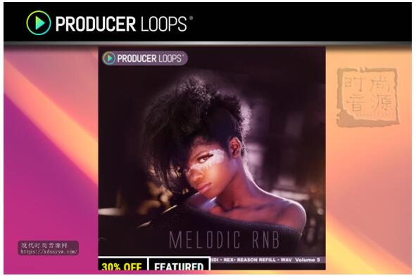 Producer Loops Melodic RnB Vol 5