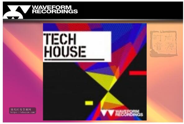 Waveform Recordings Tech House 电子素材