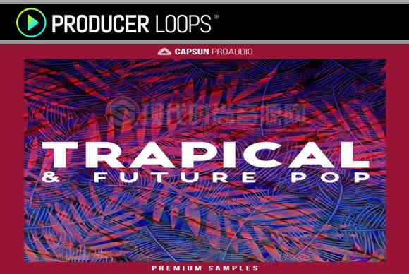 CAPSUN ProAudio Trapical and Future Pop循环素材包