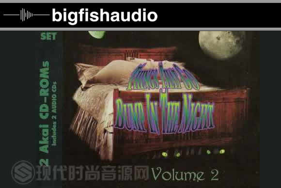 Big Fish Audio Things That Go Bump In The Night Vol. 2流行风格元素素材