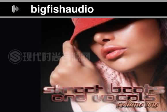 Big Fish Audio Street Beats and Vocals Vol.1街头节拍和人声流行音源