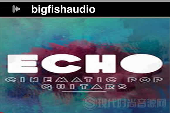 Big Fish Audio Dieguis Productions Echo KONTAKT素材