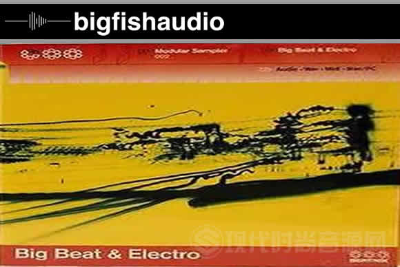 Big Fish Audio Big Beat and Electro Modular重打击乐和电音素材