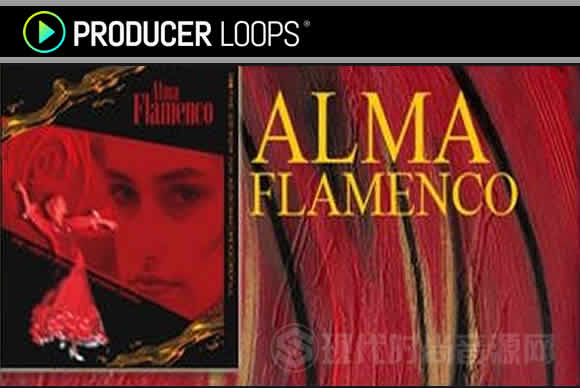 Discovery Sound Alma Flamenco WAV REX循环素材包