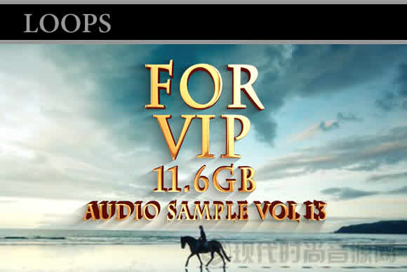 LOOP Audio第13期vip素材音频音源合集