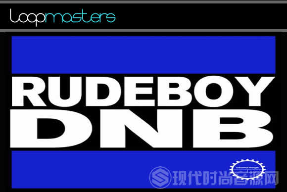 Industrial Strength Records Rudeboy DnB多格式流行音频样品循环素材
