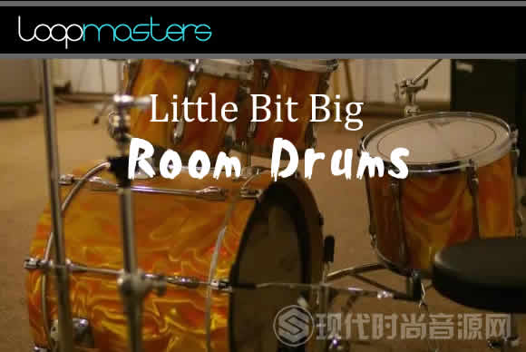 Little Bit Big Room Drums WAV流行音频样品循环素材