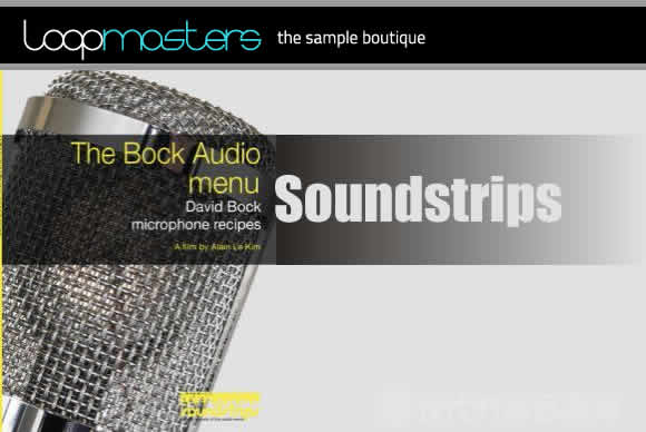 Soundstrips The Bock Audio Menu DOCU-SYNTHiC4TE流行样品循环素材