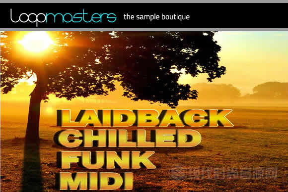 Soundtrack Loops LaidBack Chilled Funk MIDI ACiD WAV AiFF MiDi ALP REX2多格式流行样品循环素材