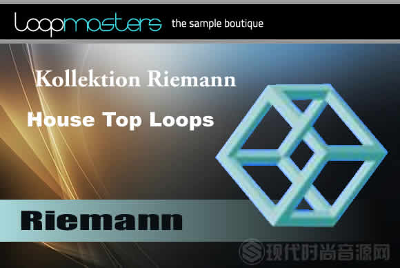 Riemann Kollektion Riemann Tech-House Top Loops 1 WAV流行样品循环素材