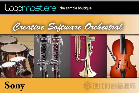 Sony Creative Software Orchestral 4 流行管弦乐样品循环素材