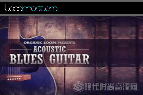 Organic Loops Acoustic Blues Guitar流行音频样品循环素材