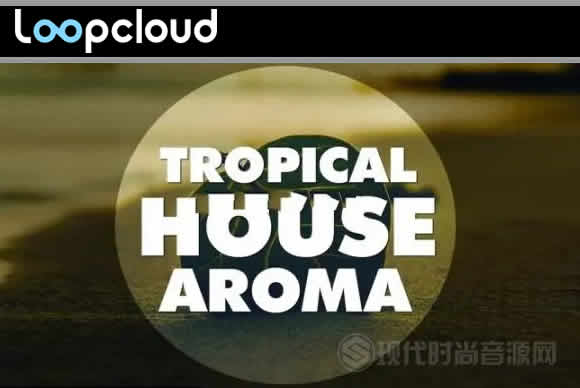 Big EDM Tropical House Aroma 多格式素材