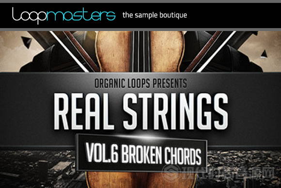 Organic Loops Real Strings Vol.6 Broken Chords 小提琴素材库 多格式