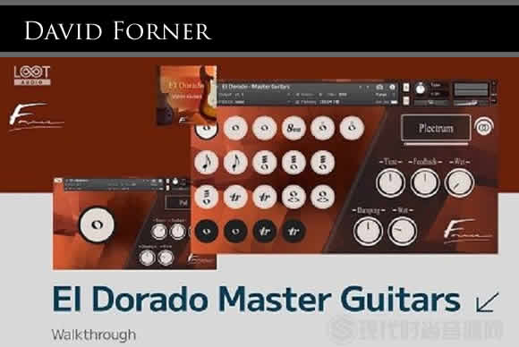 David Forner El Dorado Master Guitars KONTAKT电吉他音色垫