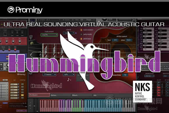 Prominy Hummingbird v1.2.6 KONTAKT蜂鸟木吉他音源