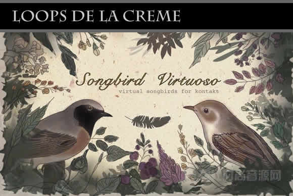 Loops de la Creme Songbird Virtuoso (+Update 06.2022) KONTAKT鸟声