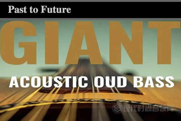 Past to Future Reverbs Giant Acoustic Round-Back Fretless Bass KONTAKT 无品贝斯