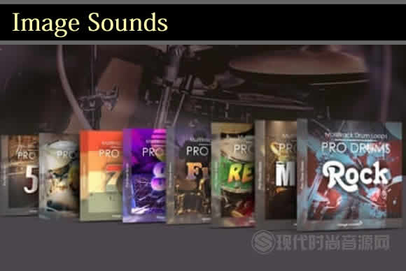Image Sounds Pro Drums Bundle多风格鼓LOOP合集