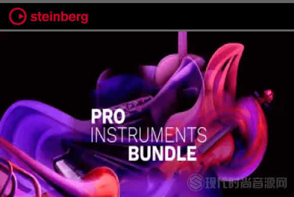 Steinberg Pro Instruments Bundle流行乐器套装