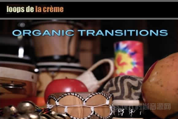 loops de la crème Organic Transition KONTAKT异国打击乐器小打综合音源