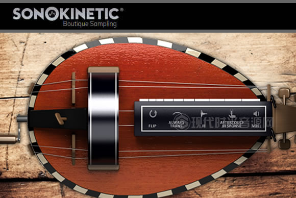 Sonokinetic Hurdy Gurdy  KONTAKT 中世纪手摇风琴
