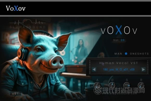 SlapAsSound VoXov Vol.9 (Vocal Instruments) VST VST3 AU [WiN, MacOSX]歌声乐器插件